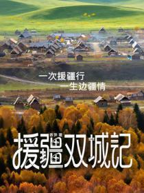援疆双城记